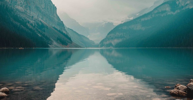 Counselling Psychology