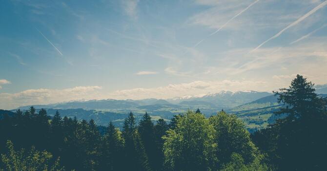 Counselling Psychology